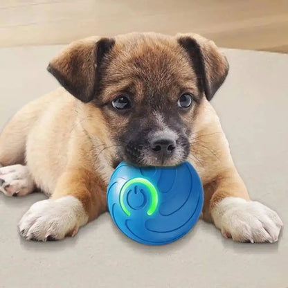 Smart Dog Toys Ball Electronic Interactive Pet Toy Moving Ball USB Automatic Moving Bouncing for Puppy Birthday gift Cat Product