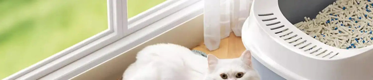 Cat Litter Mat Heavy Duty Waterproof 2 Layer Non Slip Washable Pet Floor Protector Litter Box Sand Stopper Pet Product