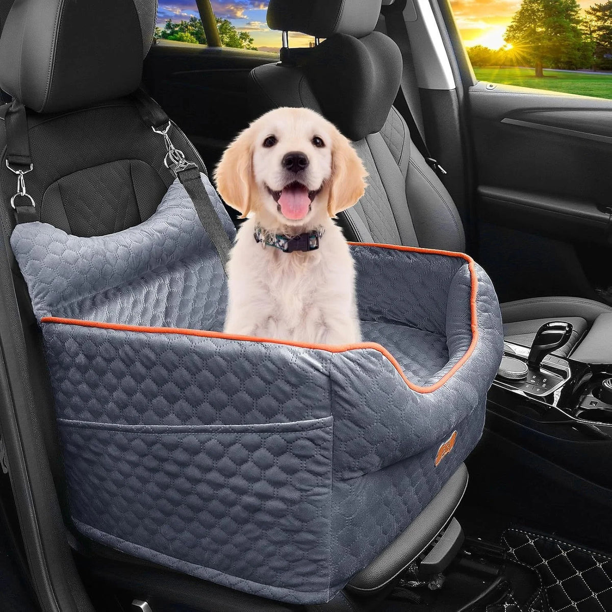 Dog Car Seat - Dog Booster Seats for Small Dogs Up to 25lbs-Elevated Pet Car Seat with Storage Pockets and Dogs Seat Belt-Pet Travel Bed for Front & Back Seats-Removable Washable-Black
